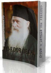 Mi-e dor de cer - Viata parintelui Ioanichie Balan - Img 1