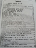 Pravilioara sau Micul Ceaslov cu scris mare - Img 2