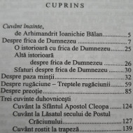 Ne vorbeste parintele Cleopa - Img 2