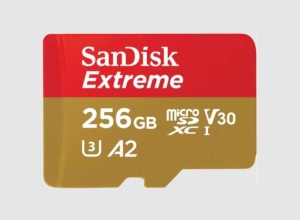 Card de Memorie MicroSDXC SanDisk, 256GB, UHS-I, Class 10, 80MB/s + Adaptor - Img 1