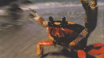 THE PRODIGY – THE FAT OF THE LAND: АЛБУМЪТ, КОЙТО ПРЕВЪРНА ЕЛЕКТРОННАТА МУЗИКА В ПЪНК ЕКСПЛОЗИЯ