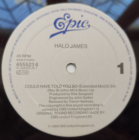 Halo James – сингъл Could Have Told You So - Img 3