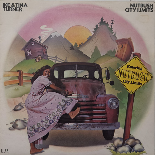 Ike & Tina Turner – албум Nutbush City Limits