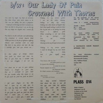 Sins Of The Flesh – сингъл In The Image Of Torture - Img 2
