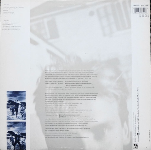 Sting – албум The Dream Of The Blue Turtles - Img 2