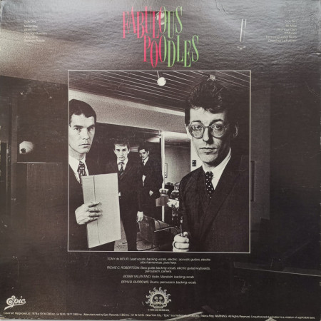 The Fabulous Poodles – албум Mirror Stars - Img 2