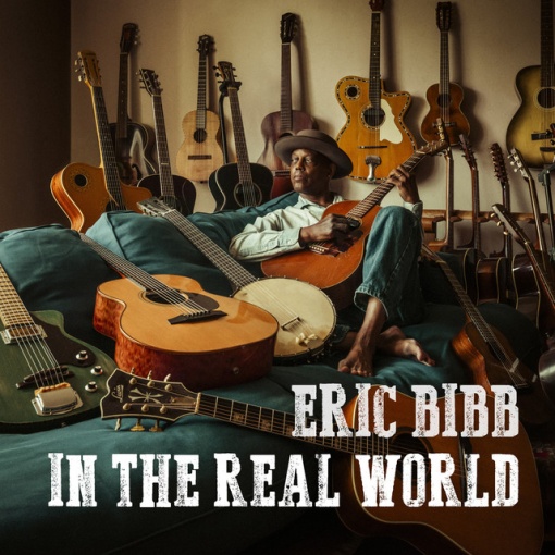 BIBB, ERIC - IN THE REAL WORLD (1 x LP)