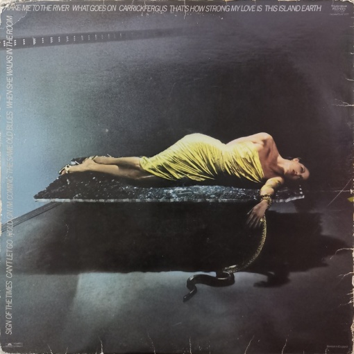 Bryan Ferry – албум The Bride Stripped Bare - Img 2