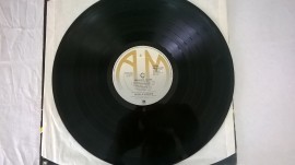 Hazel O'Connor ‎– албум Breaking Glass - Img 3