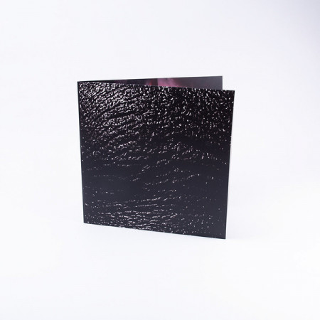 Muddy – албум Hopeland - Img 2