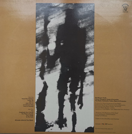 Tony Banks – албум A Curious Feeling - Img 3