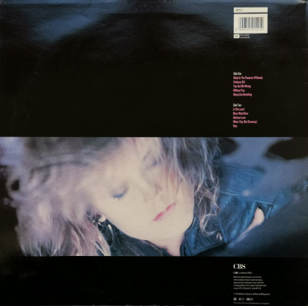 Alison Moyet – албум Raindancing - Img 2