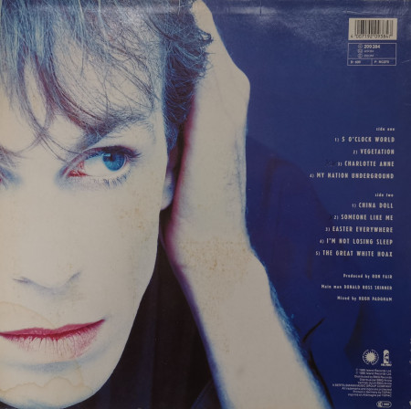 Julian Cope – албум My Nation Underground - Img 2