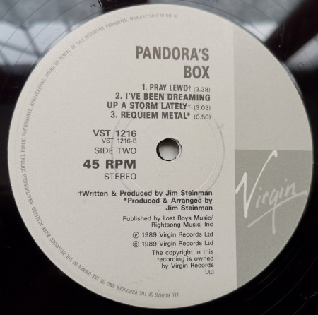 Pandora&#039;s Box – сингъл It&#039;s All Coming Back To Me Now - Img 2