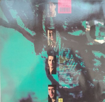 Chinchilla Green – албум A Taste Of Times To Come... - Img 2