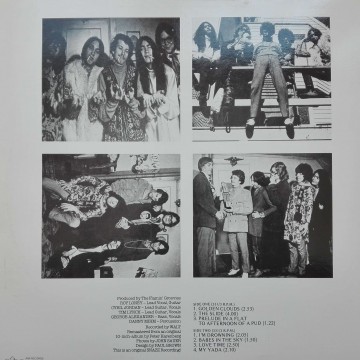The Flamin Groovies – албум Sneakers - Img 2