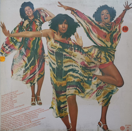 The Three Degrees – албум Standing Up For Love - Img 2