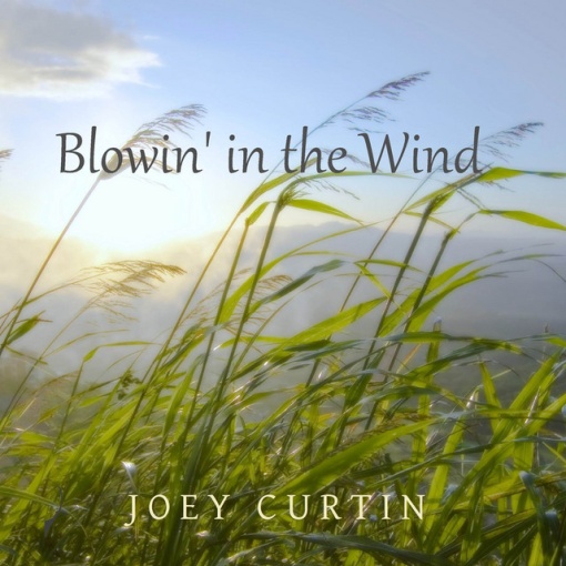 DYLAN, BOB - BLOWIN' IN THE WIND (2 x LP)