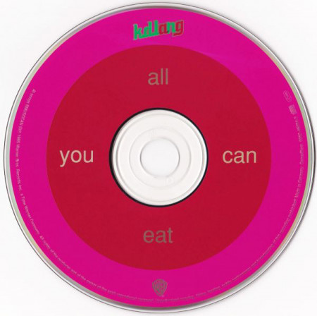 k.d. lang ‎– албум All You Can Eat (CD) - Img 3