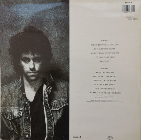 Bob Geldof – албум Deep In The Heart Of Nowhere - Img 2