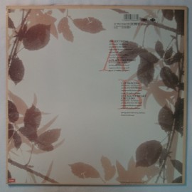 Horse – сингъл Sweet Thing - Img 2