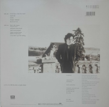 Jules Shear ‎– албум The Eternal Return - Img 2
