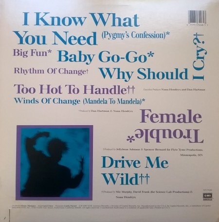 Nona Hendryx ‎– албум Female Trouble - Img 3