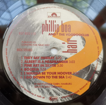 Phillip Boa And The Voodooclub – албум Hair - Img 3