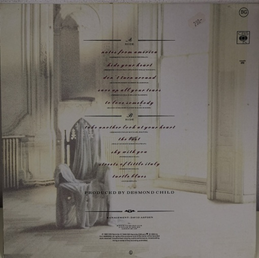 Bonnie Tyler – албум Hide Your Heart - Img 2