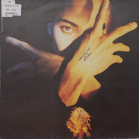 Terence Trent D'Arby – албум Terence Trent D'Arby's Neither Fish Nor Flesh (A Soundtrack Of Love, Faith, Hope & Destruction)