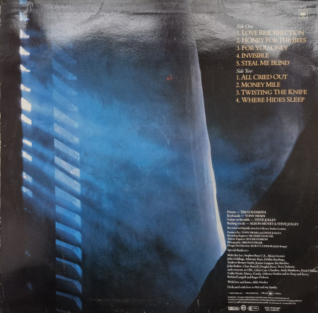 Alison Moyet – албум Alf - Img 2
