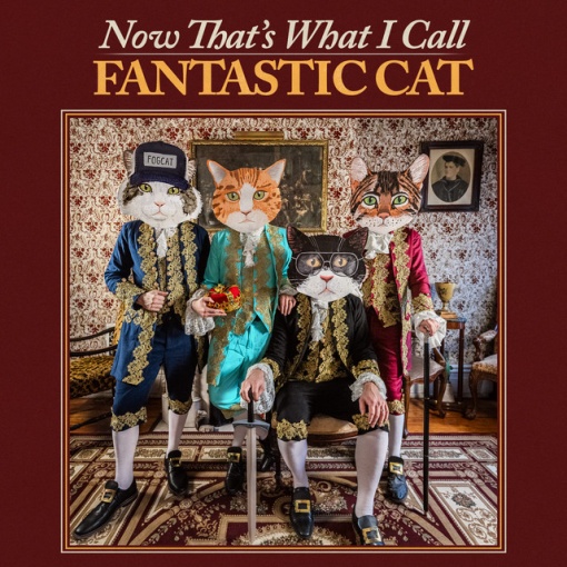 FANTASTIC CAT - NOW THAT'S WHAT I CALL FANTASTIC CAT (1 x LP)