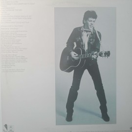 Steve Forbert ‎– албум Alive On Arrival - Img 2
