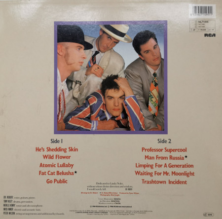 The Blow Monkeys – албум Limping For A Generation - Img 3
