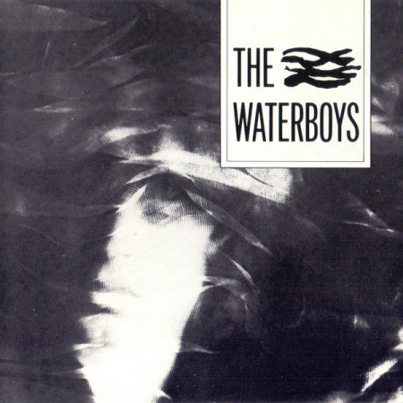 The Waterboys ‎– албум The Waterboys (CD)