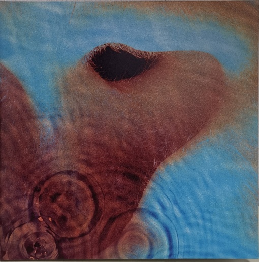 Pink Floyd – албум Meddle