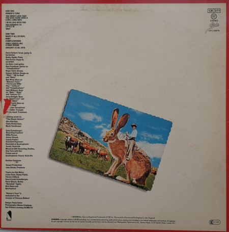 Steve Forbert – албум Jackrabbit Slim - Img 2