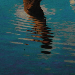 AO - AO MAR
