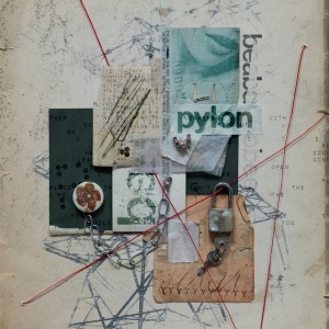 Beabadoobee - PYLON (1 x LP)