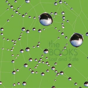 BOOKS - LOST AND SAFE