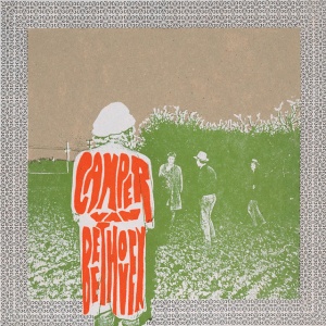 CAMPER VAN BEETHOVEN - TELEPHONE FREE LANDSLIDE VICTORY
