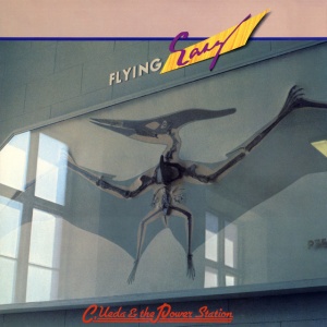 CHIKARA UEDA & POW... - FLYING EASY