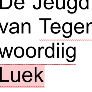 DE JEUGD VAN TEGENWOORDIG - LEUK