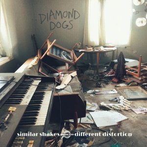 Diamond Dogs - SIMILAR SHAKES DIFFERENT DISTORTION (1 x LP)
