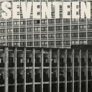 FENDER, SAM - SEVENTEEN GOING UNDER