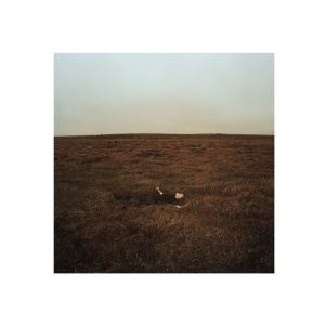 Fink - CITY COMING TO ERASE I... (1 x LP)
