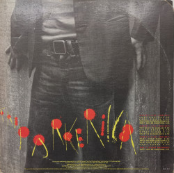Graham Parker And The Rumour – албум The Parkerilla - Img 2