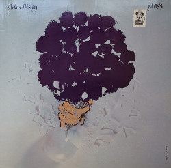 John Illsley – албум Glass