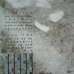 Kajagoogoo – албум White Feathers - Img 2