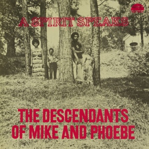 LEE, BILL & THE DESCEN... - A SPIRIT SPEAKS